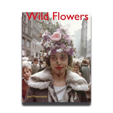 Joel Meyerowitz: Wild Flowers 